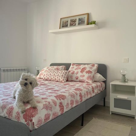 Ferienwohnung Plata 2 Zamora Exterior foto